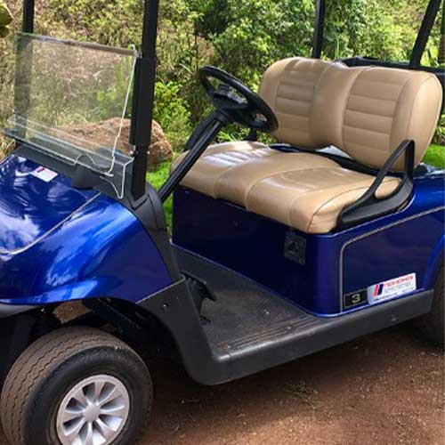 image of standard golf cart carried by Nohokai Hawaii.