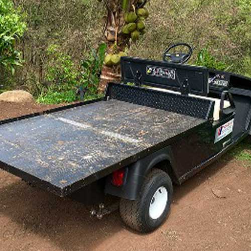 image of ADA-compliant, 4 passenger electric vehicle.